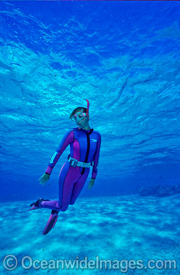 Female Snorkel Diver / Snorkeler in clear blue water. Great Barrier Reef, Queensland, Australia Photo - Gary Bell Female Snorkel Diver / Snorkeler in clear blue water. Great Barrier Reef, Queensland, Australia Photo - Gary Bell