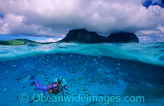 Scuba Diver feeding fish photo