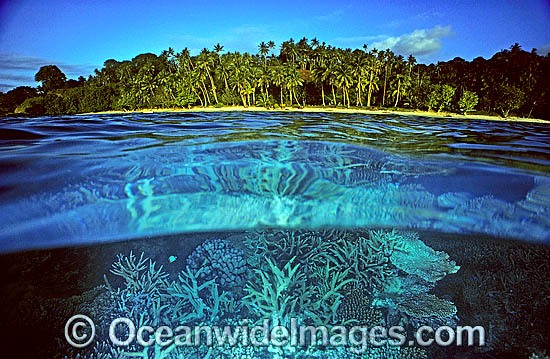 Palm fringed tropical island beach photo