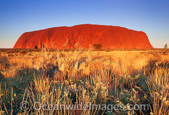 Uluru Ayers Rock photo
