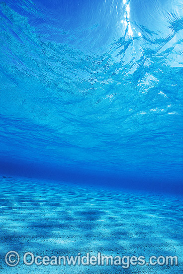 Underwater seascape Coral Sea photo Underwater seascape Coral Sea photo