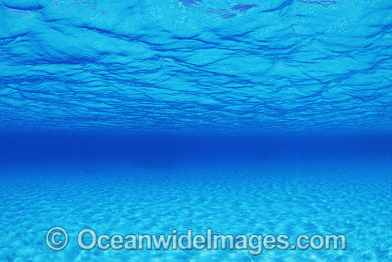 Underwater seascape sandy ocean surface photo