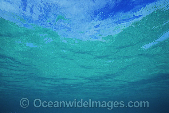 Underwater seascape -ocean and surface. Coral Sea, Australia Photo - Gary Bell Underwater seascape -ocean and surface. Coral Sea, Australia Photo - Gary Bell