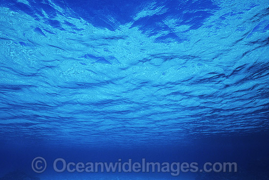 Ocean surface Coral Sea photo