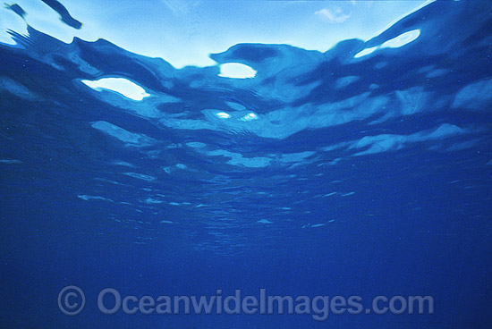 Ocean surface Coral Sea photo