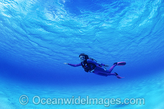 Scuba Diver clear blue water photo Scuba Diver clear blue water photo