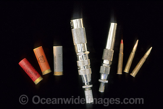 Twelve-gauge shotgun and .303 calibre powerhead and ammunition used in conjuntion with spear to kill Sharks. Australia Photo - Gary Bell Twelve-gauge shotgun and .303 calibre powerhead and ammunition used in conjuntion with spear to kill Sharks. Australia Photo - Gary Bell