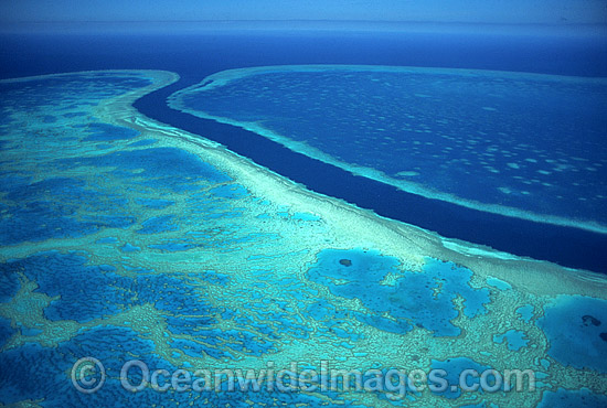 Aerial Hook Hardy Reef photo