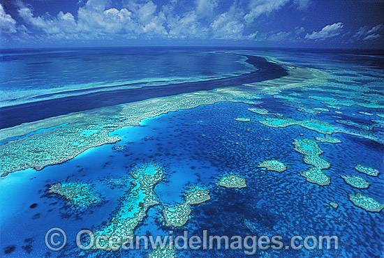 Aerial Hook Hardy Reef photo