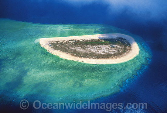 Aerial Raine Island photo Aerial Raine Island photo