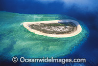 Aerial Raine Island Photo - Gary Bell