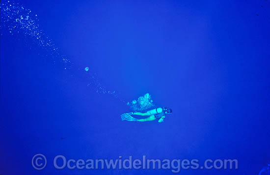 Scuba Diver photo Scuba Diver photo