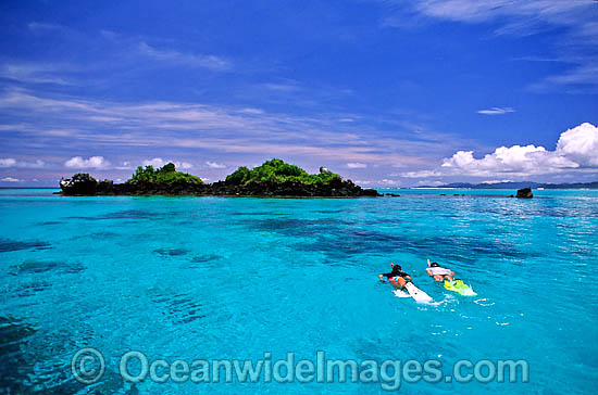 Male and female Snorkel Divers / Snorkelers exploring Coral reef. Fijian Islands, Fiji Photo - Gary Bell Male and female Snorkel Divers / Snorkelers exploring Coral reef. Fijian Islands, Fiji Photo - Gary Bell