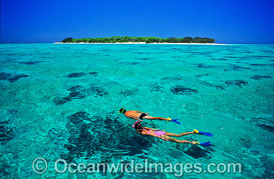 Snorkellers on coral reef photo