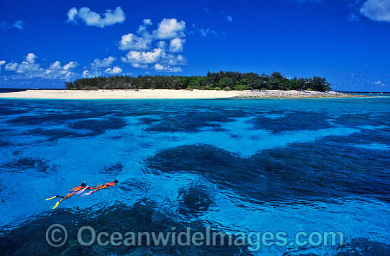Snorkel Divers on Coral reef photo