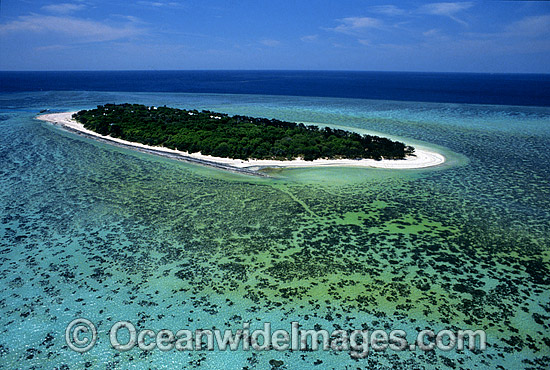 Aerial Heron Island photo