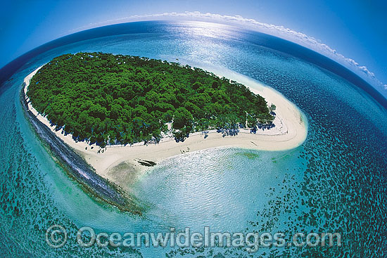 Heron Island aerial photo