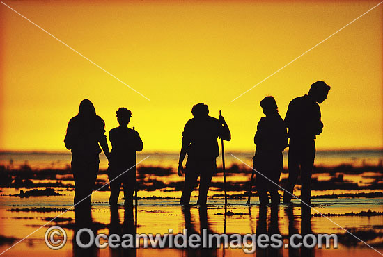 Tourists reef walking Coral reef flats photo