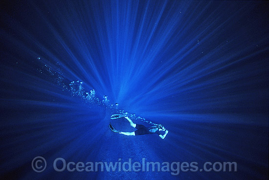 Diver snorkeling in sunrays photo