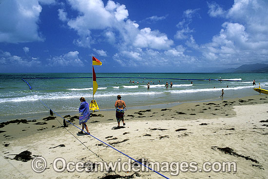 Box Jellyfish safety swimming net photo