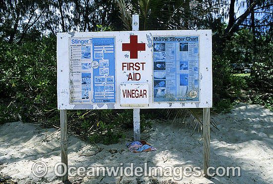 First Aid and dangerous Jellyfish warning sign erected on tropical beach. Port Douglas, North Queensland, Australia Photo - Gary Bell First Aid and dangerous Jellyfish warning sign erected on tropical beach. Port Douglas, North Queensland, Australia Photo - Gary Bell