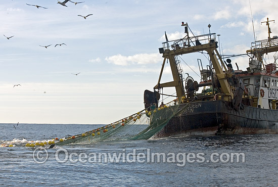 Stern fishing trawler off Cape Point, South Africa Photo - Chris & Monique Fallows Stern fishing trawler off Cape Point, South Africa Photo - Chris & Monique Fallows