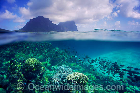 Lord Howe Island photo Lord Howe Island photo