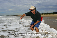 Fisherman catching Giant Beach Worm Photo - Gary Bell