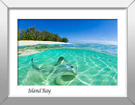 Ray and Island Print