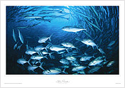 Schooling Pelagics Schooling Pelagics
