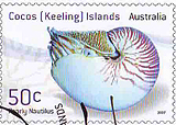 Nautilus Stamp