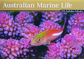 Marine Life Calendar