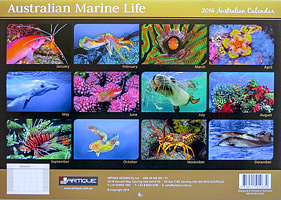 Marine Life Calendar