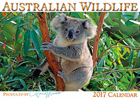 Australian Wildlife Calendar 2017