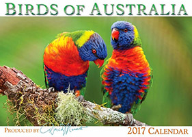 Birds of Australia Calendar 2017