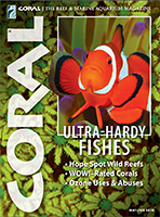 Clownfish on Coral Magazine