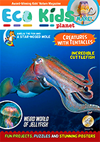 Cuttlefish Cover Magazine