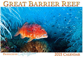 Great Barrier Reef Calendar 2021