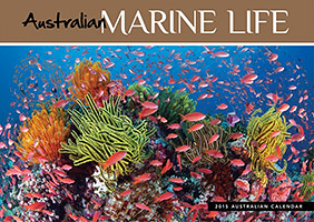 Australian Marine Life Calendar