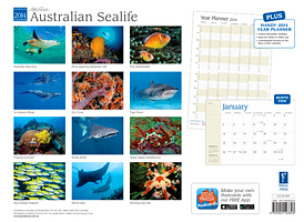 Australian Sealife Calendar