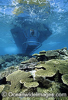 People viewing Coral from Semi-submersible boat. Heron Island, Great Barrier Reef, Queensland, Australia