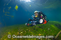 Underwater photographer, with scuba, photographing life in the Urumbilum River, situated in the Orara Valley, near Coffs Harbour, New South Wales, Australia.