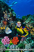 Scuba Diver with tropical fish, exploring Coral reef. Heron Island, Great Barrier Reef, Queensland, Australia