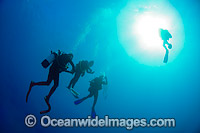 Scuba divers doing a safety decompression safety stop close to the surface after a deep dive. Photo taken at Heron Island, Great Barrier Reef, Queensland, Australia.