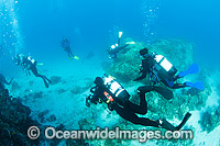 Divers exploring a tropical coral reef. Photo taken at Heron Island, Great Barrier Reef, Australia.