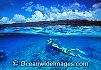 Half under and half over water picture of female Snorkel Diver / Snorkeler exploring Coral reef. Fijian Islands