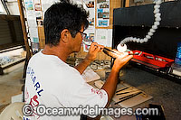 Mr Kazuyoshi Takami, proprietor and technician of Kazu Pearl Farm, seeding a live Pearl Oyster (Pinctada maxima) that will be returned to the sea in order to culture. Friday Island, Torres Strait, Queensland, Australia