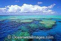 Fringing Coral Reef Crest. Great Detached Reef, Great Barrier Reef, Queensland, Australia