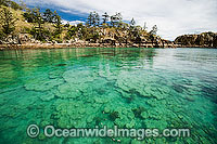 Reef scene showing a shallow coral reef fringing coastal shoreline. Blue Pearl One Beach, Hayman Island, Whitsunday Islands, Queensland, Australia