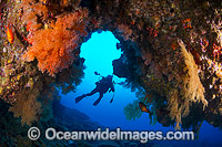 Underwater photographer exploring and photographing a tropical coral reef cave decorated with soft corals at Christmas Island, Indian Ocean, Australia.